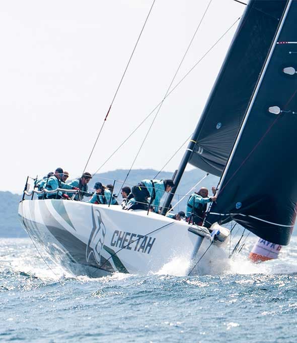 TEAM ACADIA / CHEETAH takım görseli